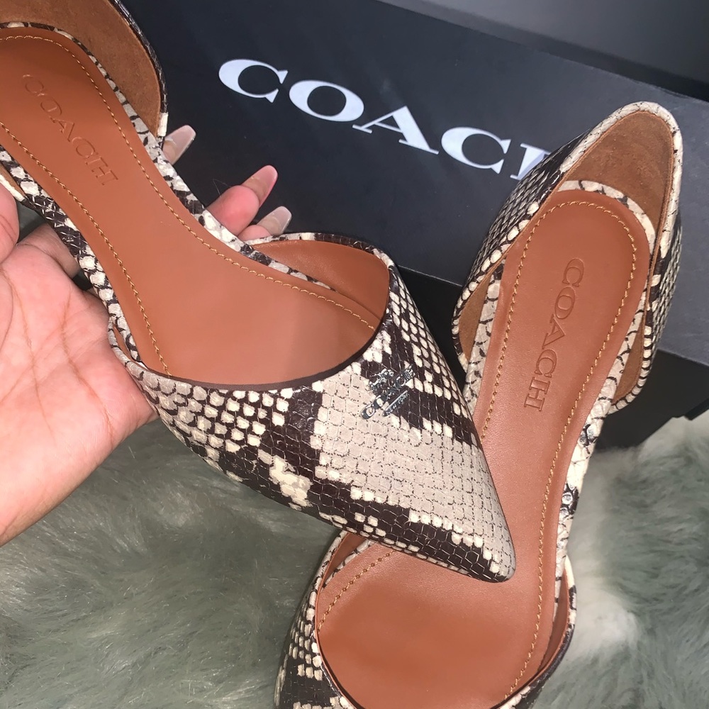 Coach snake print flats